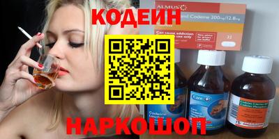 амф Камышлов