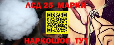 амф Камышлов