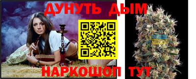 амф Камышлов