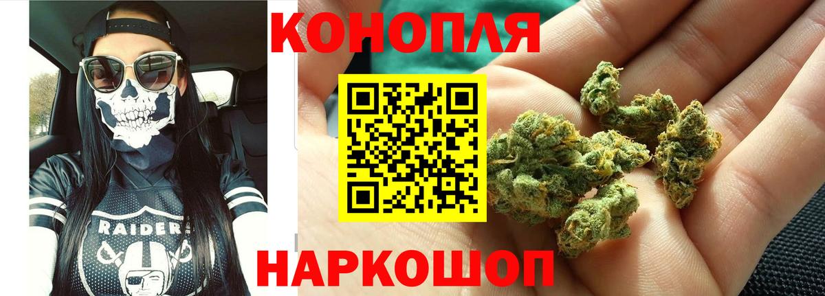 Бошки Шишки семена Кушва